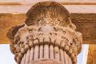 Aswan-Egypt Capital of a column carved like a palm-at the Philae Temple-a UNESCO Site Art Print